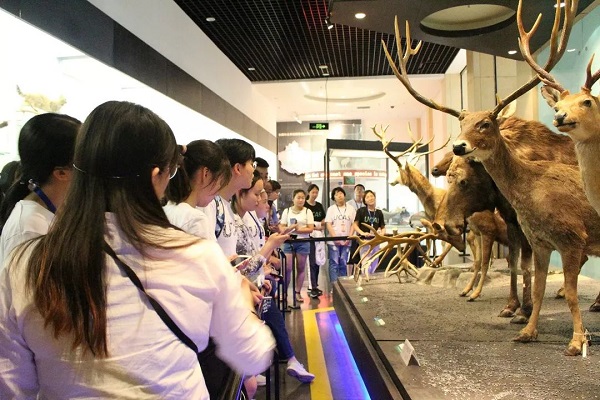 無脊椎動物,鳥類,瀕危動物,蝴蝶,昆蟲等獨立展廳都帶給了科學營營員們